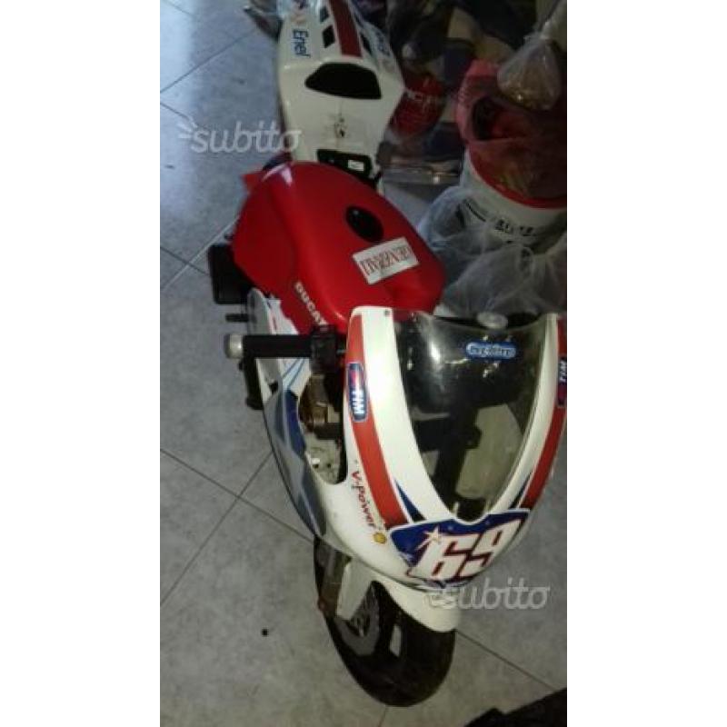 Moto peg perego Ducati g.p.24 volt