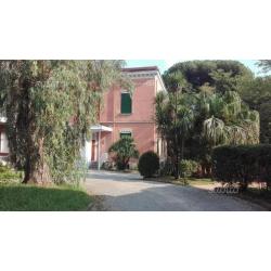 Capezzano Villa Wenner mq 100 Ristrutturato